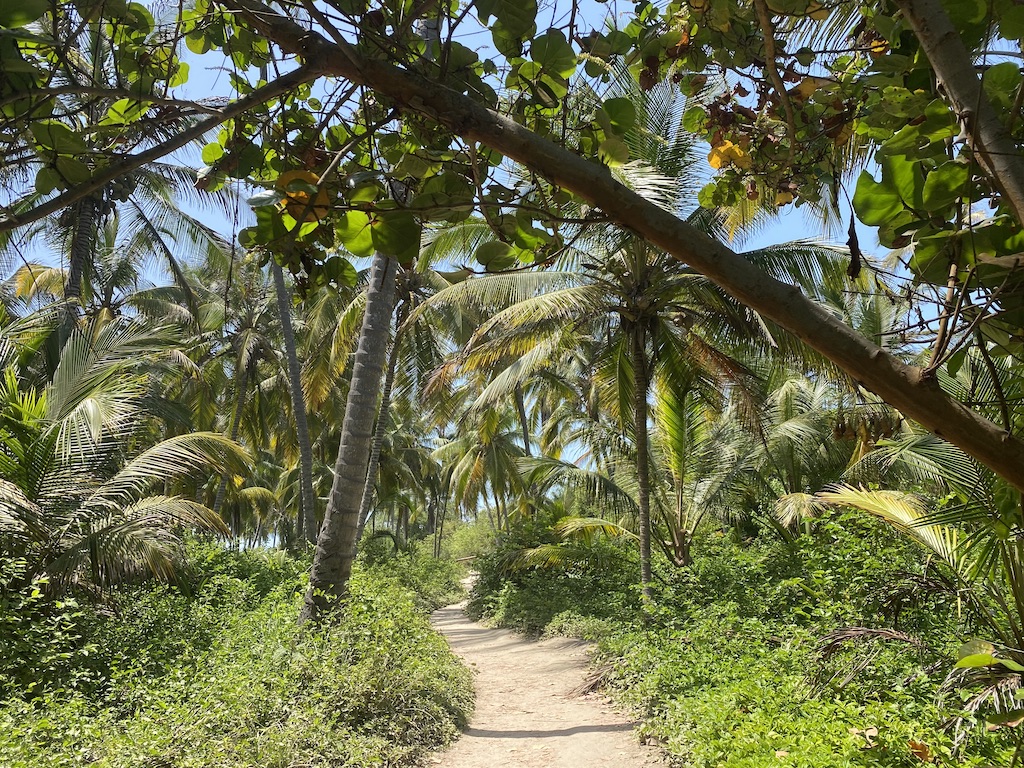 A sand/dirt path running through the jungle, from La Piscina to Cabo San Juan.