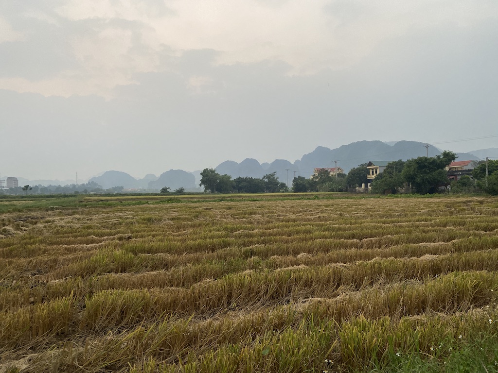 How to visit Tam Coc (Ninh Binh), Vietnam