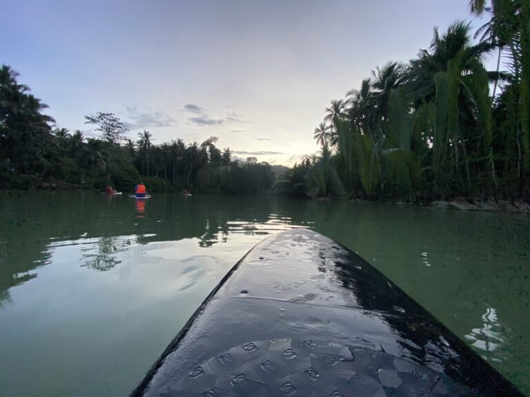 Watching fireflies on the Loboc River, Bohol: a magical experience
