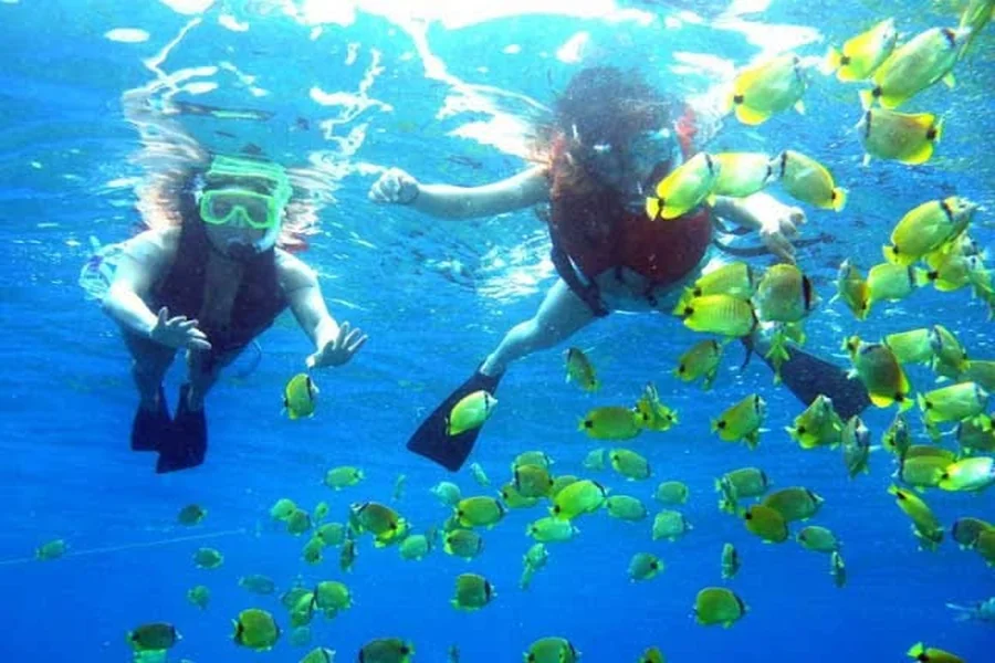 Diving Koh Rong Samloem